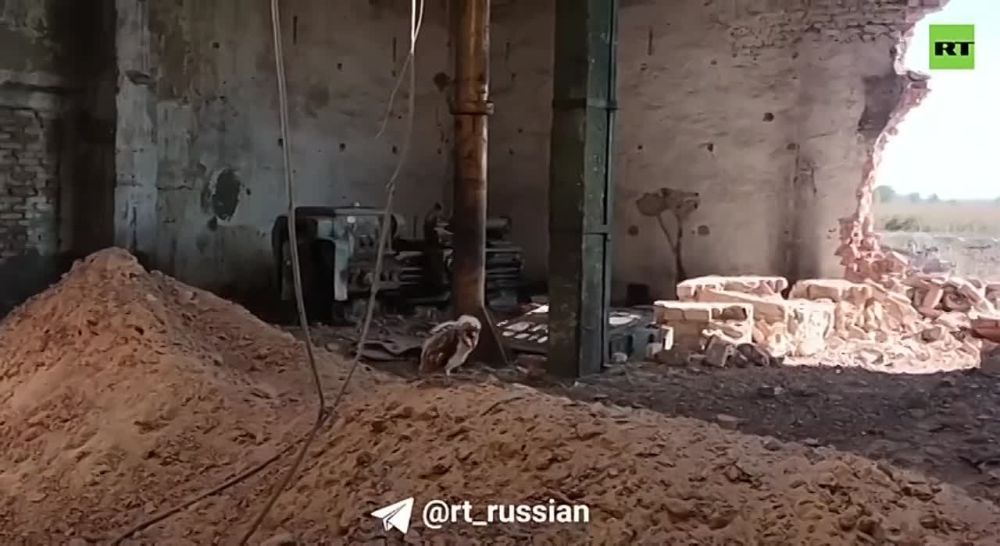 �������, �� ��� ��� �������, ��� �����, �� �**, ��������, �� ����?�