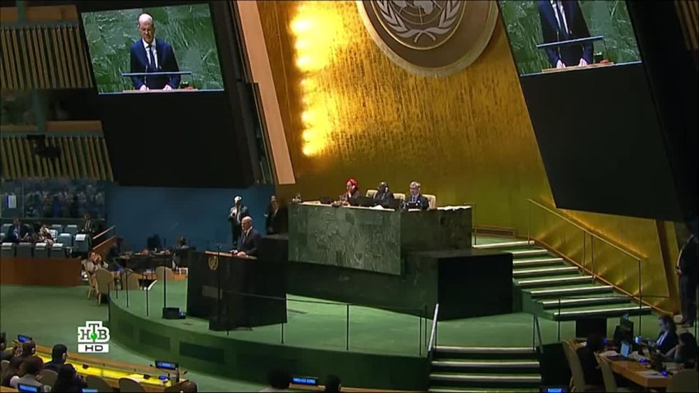 ������, ������ ��� ���� �� �����, ����������� � ���������