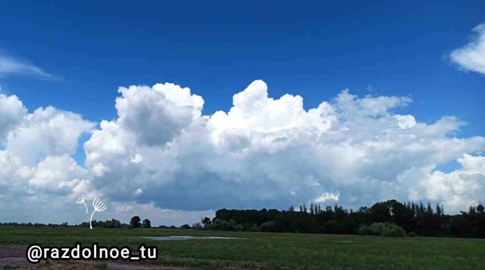 ������ ����, ����������!. ����� ������ ���� ������