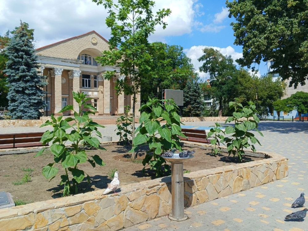 ������ ����, �������!. @VGA_Kakhovka