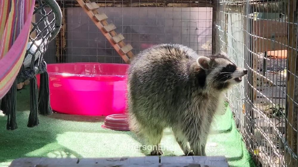 ���� �� �������: �������, ��������� ����������� ����, ������!