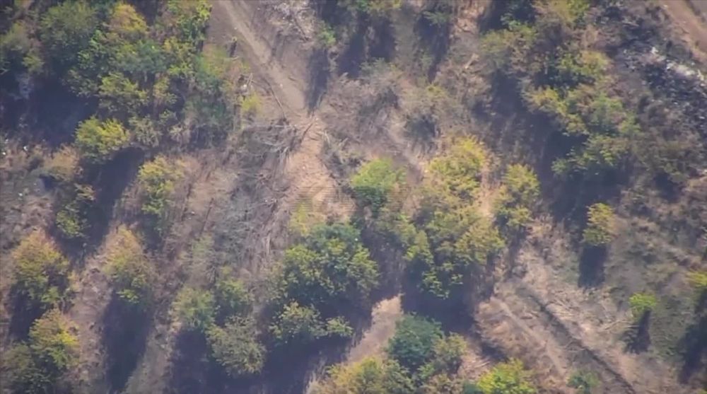 ����������� ������������ ������� �777 ������ 80 ����� "�����������" �� ���������� �����������