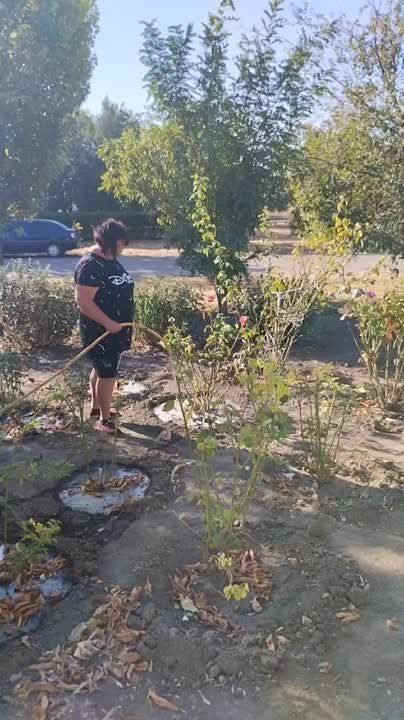 ������� ������� �������������� �����