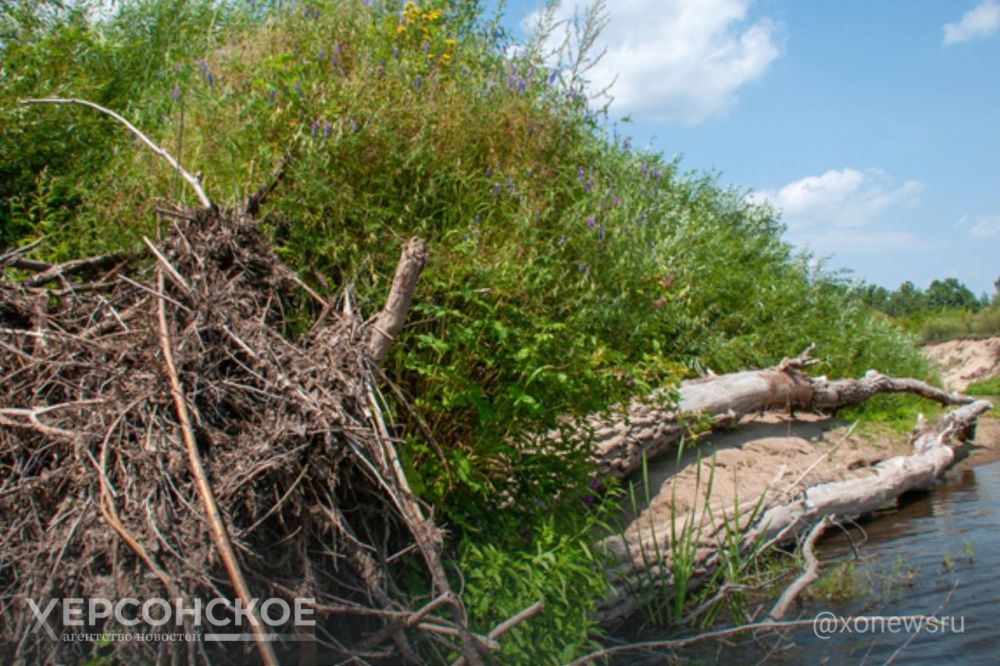 � ����� ����� � ����� �������� ��������� ����� 80 �� ����� ���