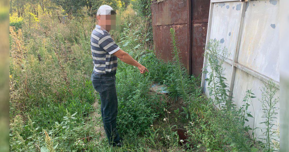 ������ ���������� ������ ����� � ���������� ������