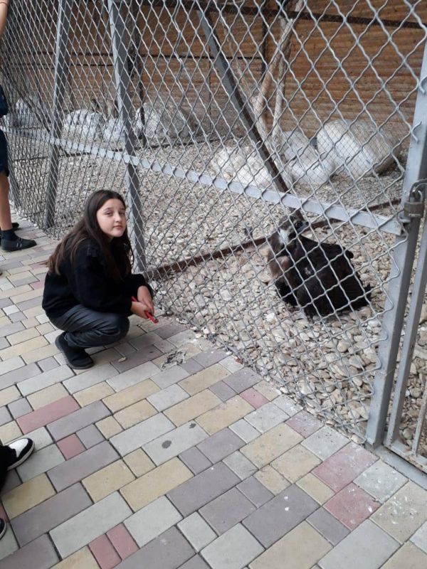 ���� �� ���������� ������� �������� ������� � ��������