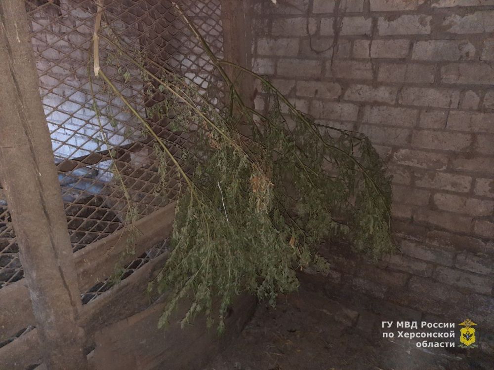 � ������������ � ������ ������������� ������ ����������� ������� ������� � ���������