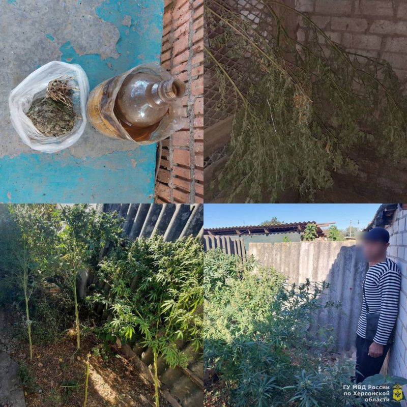 ������ ������������� ��������� ������� � ������ ��������� � ���� ���� � �������� ������ � ����������� ���������� ����