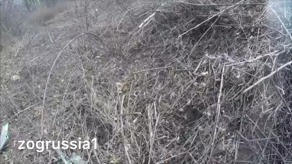 ������ �� ����, ������ �������