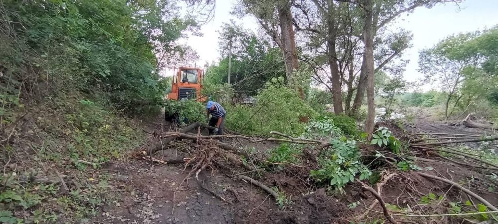 ����� 80 ���������� ����� ��� ����������� �� ���������� ���, ���, ���������� � ����������� ��������