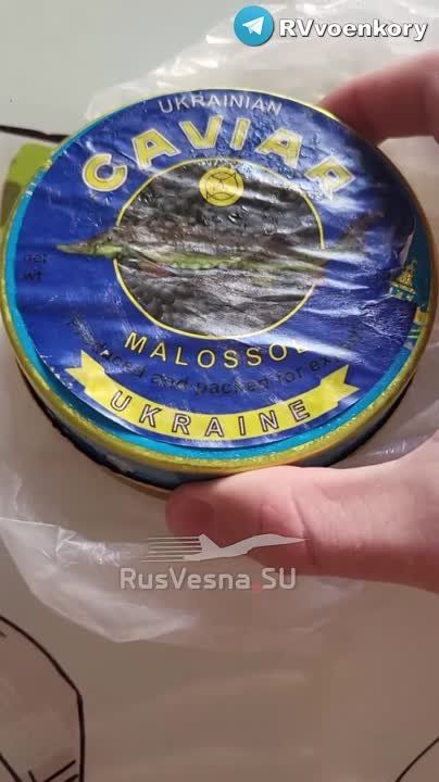 ����� � �����: �� ������� ������� ���������� ������ ���� ��� ������ ����������