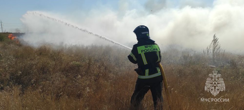 �� �������� �����, 24 ��������, �������-������������ ������������� ��� ���������� ������� ����������� �� 12 ����������, 3 �� ��� � ������� �������