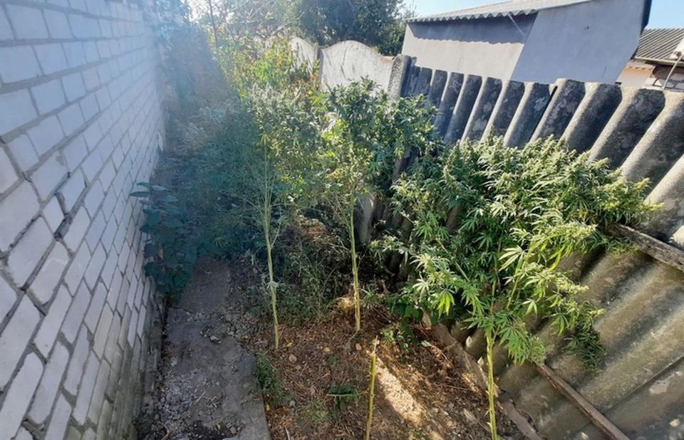 � ���� � ������ ���������� ������� ����� ����� ������ �������