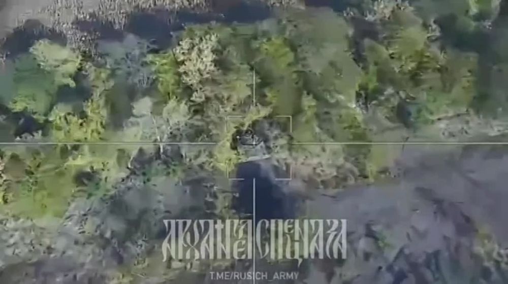 �������� �����: ����������� �����: ������� ���������� ��� ���������� ���� �72 ��� �� ����������� �����������