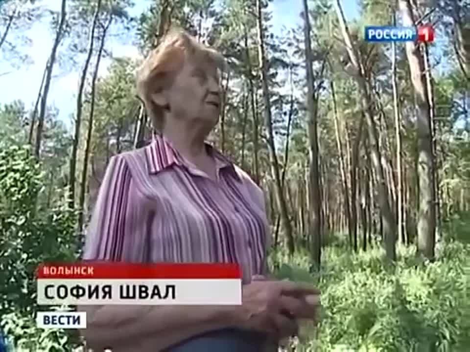 �������� ��� ������ ���������������