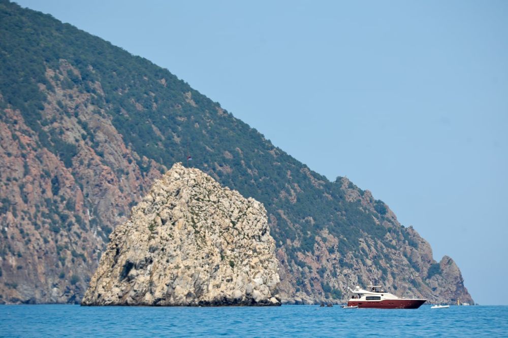 ������ ��������: ���� ��������� �� ����� ����������� �� ������ �������