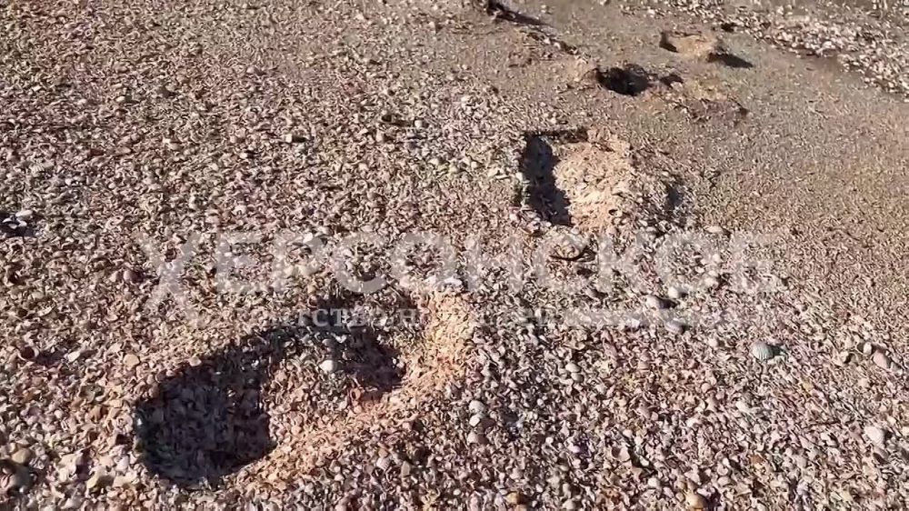 ������� �� ���������� ������� ��������� ��������� �����