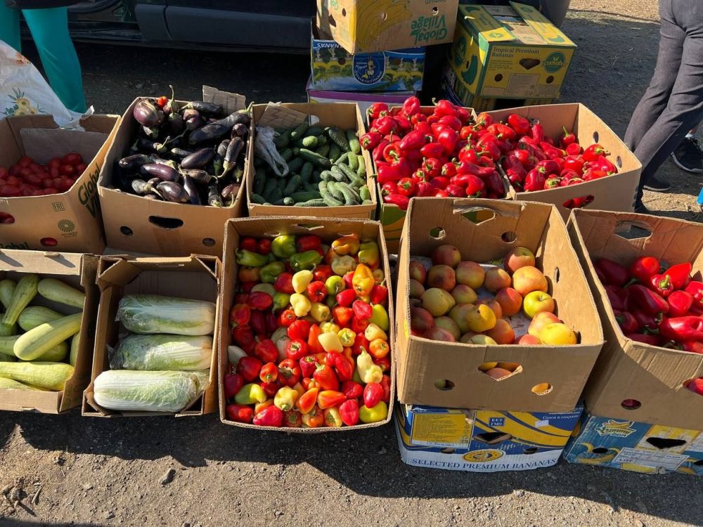 �������������� ������� ����������� � ����� �������� ��� 3 ��� � ������