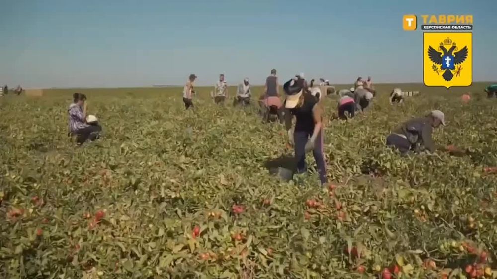 ���������� �������. ���������� ��������� �������� ������ ��������� ����� �� ����� ���������� �������������������� �������...