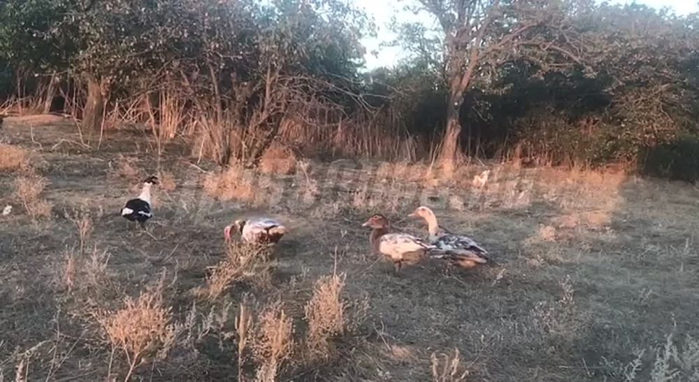 ���������� �������� ���������� �� ���������� � ���� � �� �� ������, � ����� ���� ��� ����������� ��� ���������� �����