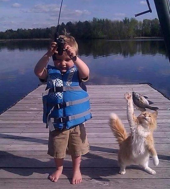 �� ������ �� ��������, ������