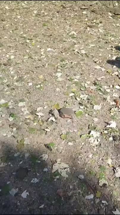 ������������� ���������� ��� ��������� ����������� ������, ��� ����� ��� ������� ����������