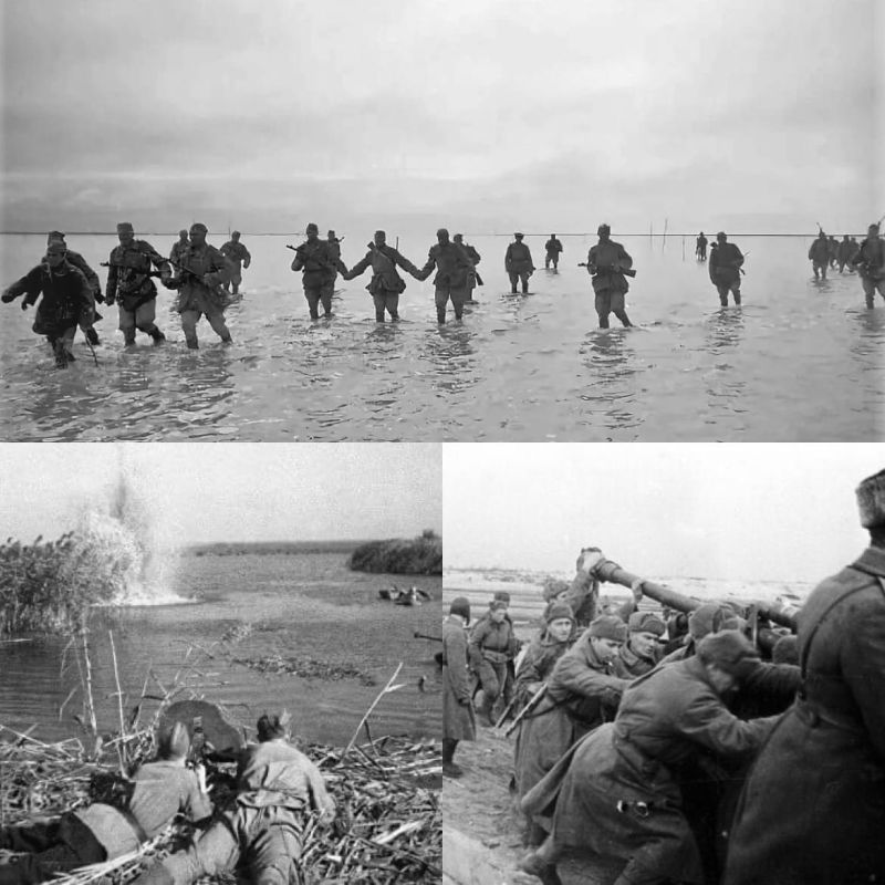 ����� 80 ��� ����� ������� ������, �������� ���� ����� ��������� ����� �� �����, ��������� ��� ���������������� �������������� ��������