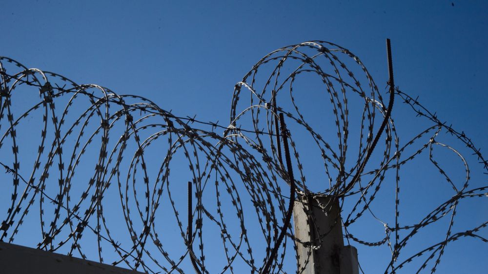 ����������� � ���������� ������� �� ���� ������ � ������� � 2022 ���� �������� �����