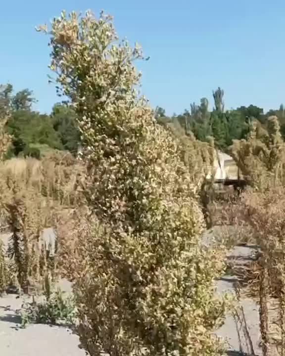 ������� ������������ ��������� ���������� ����� � ����������� ��������� ���� ��� �������� �����