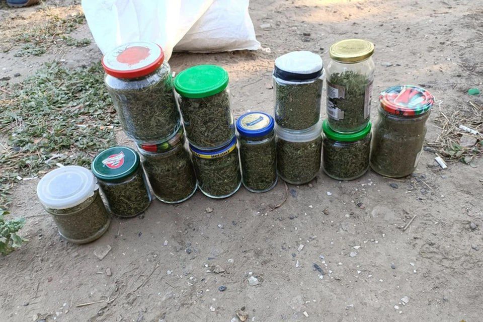 � ���� ������ ���������� ������� ����� ��������� ���������