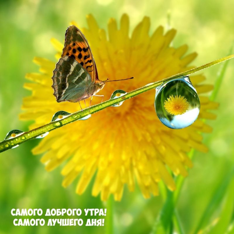 ������ ����. ������� ����� ������ � ������� ����� ����������� �� ���������� ����� ���. ��� �������. ����������� �� +15 ����� �� +29 ����