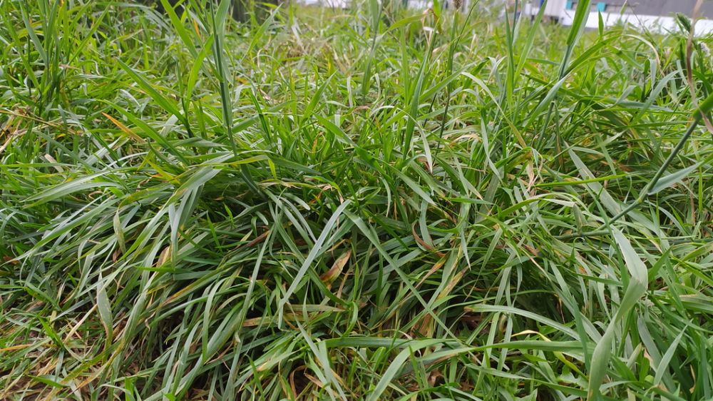 ���������� ����� ��������� �������