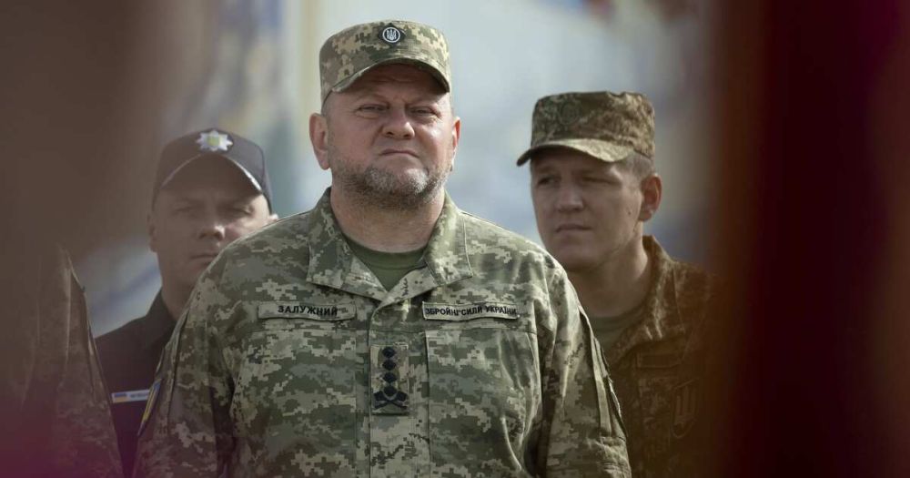 Появление дела Залужного объяснили желанием Киева переложить вину за свои ошибки