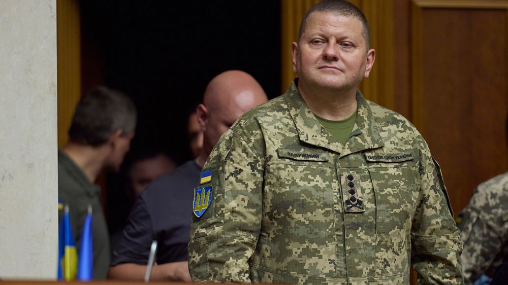 BBC: следователи допросили Залужного по делу о сдаче части Херсонской области