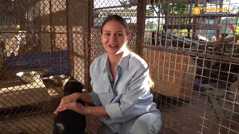 ������ ������ ��������� �������� "�����" ���������� ���� ������ � ���������