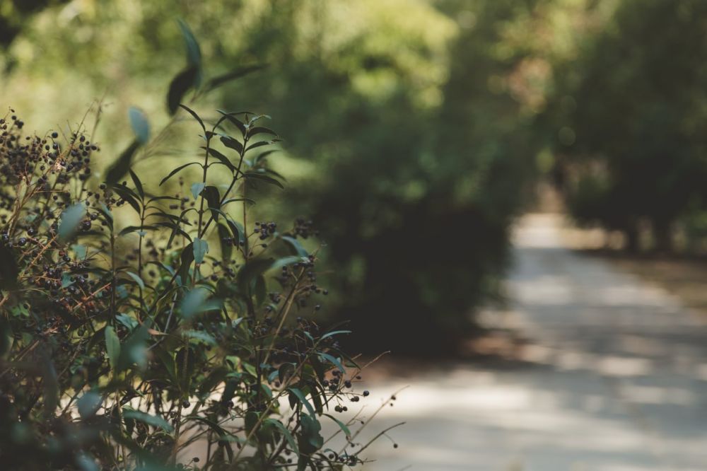 ������ ����, �������!. @VGA_Kakhovka