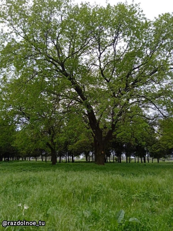 ����������! � ������ � ��������� �����!