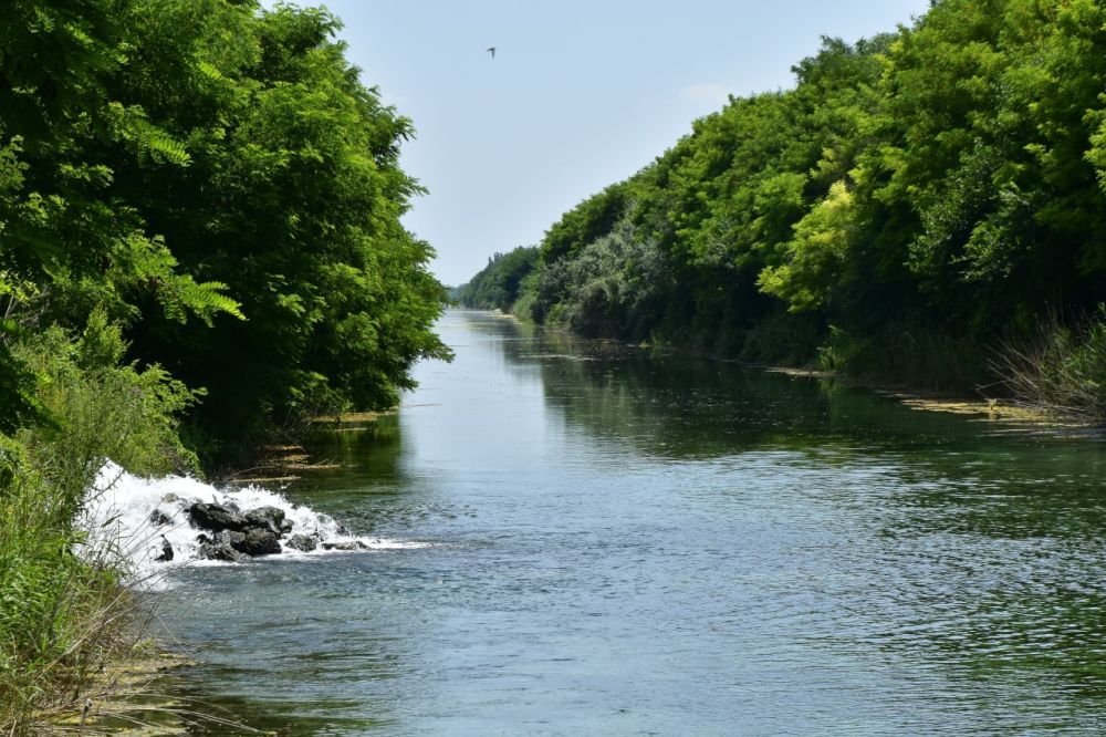 ���� ��������� ������������ ������ ���� �� ������