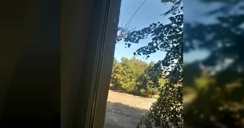 ��� ������� �� ���� ����-��������� ����� �� ������� �����