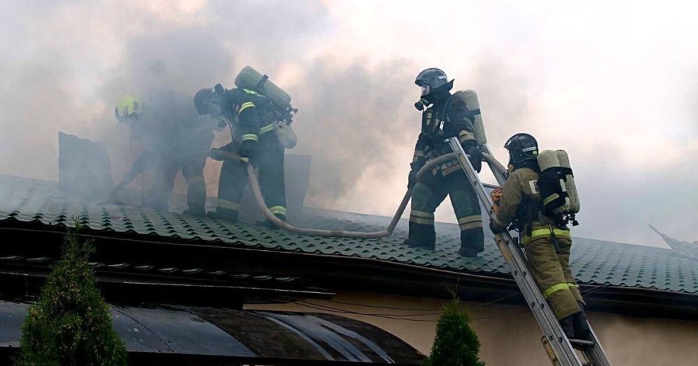 ���������� �������� �������� ������ ���� �� �����