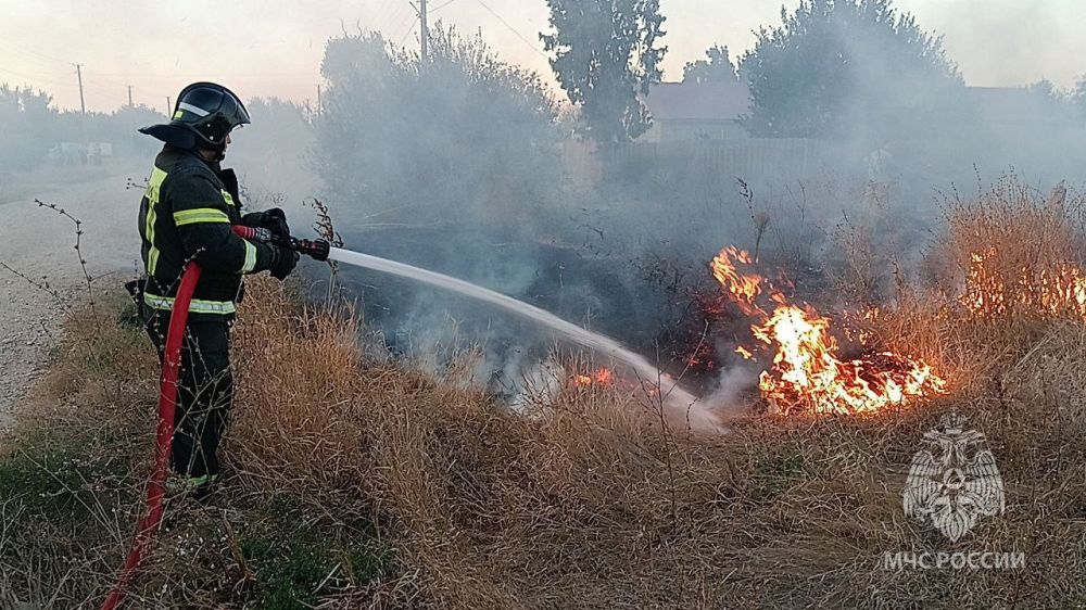 �� �������� ����� � ���������� ������� ���� ������������� 23 ����������