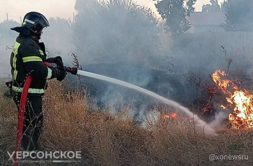 �� �������� ���� ��� � ���������� ������� �������� ����� 155 �� ��������� �������