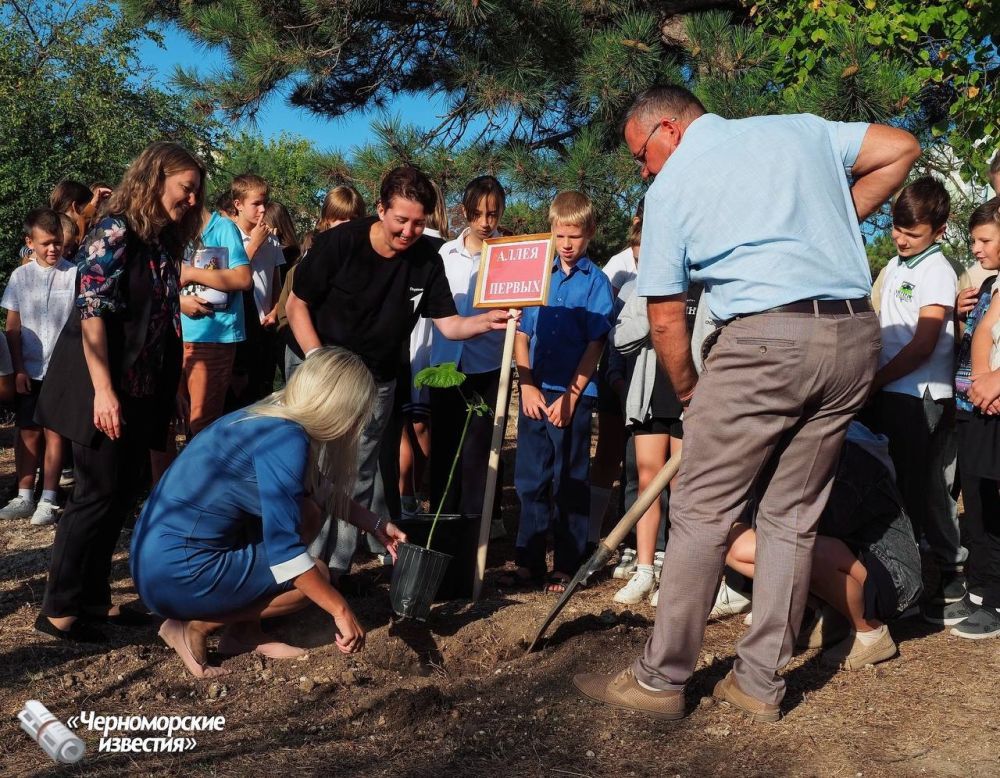 ������� ��������: � ������� ������������ ������� �������� ������ ������, ����������� ��� ������������� ������ � ���, ���, ����������� � ���������� ��������