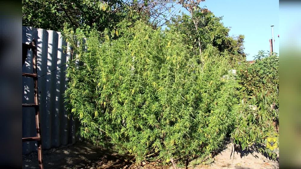 ���������� ������� ����������� ������ ���������� � ������ � ������������ �������� ������ ��������� � �������