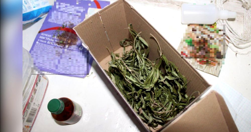 ������ ��������� ��������� � �������� �������