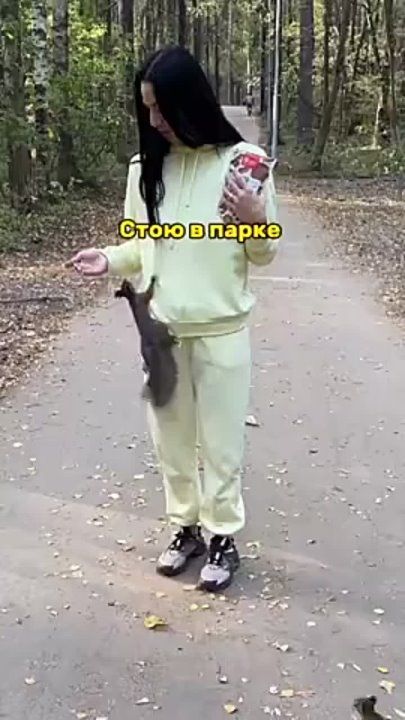 ������� ���������� �� ��������