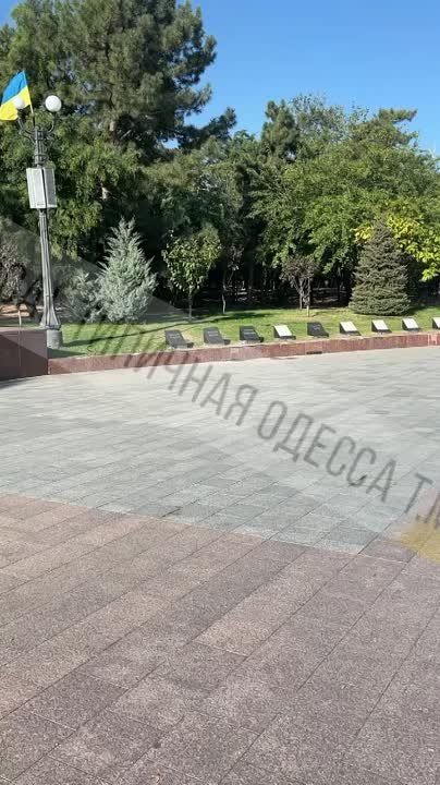 ������� ���� ������ ������ � ������ �������� ������� ������