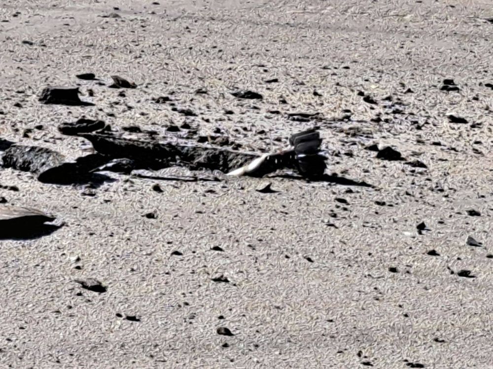 ��� ���������� ����� �������, ����� 10:15 �� ����� �������� �������� �������� �� ����������� ���� ������������ � ����� ����� � ������