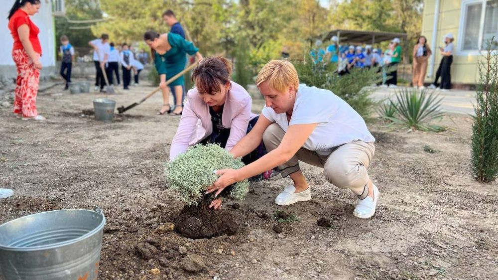 ������� ������������� � ������������� ����� ������ �������