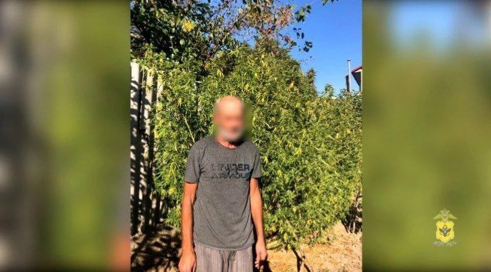 ������ ��������� �������� �� ����� ���� �������